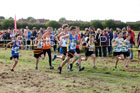 Boys under-13s Start Fitness North Eastern Harriers League, Wrekenton, Gateshead. Photo:  David T. Hewitson/Sports for All Pics